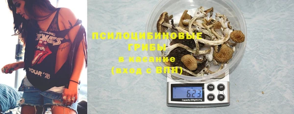 крисы Бронницы