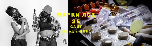 прущий лед Бородино