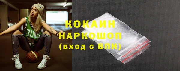 прущий лед Бородино