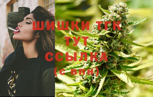 крисы Бронницы