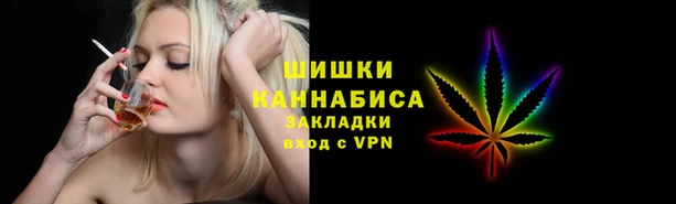 прущий лед Бородино