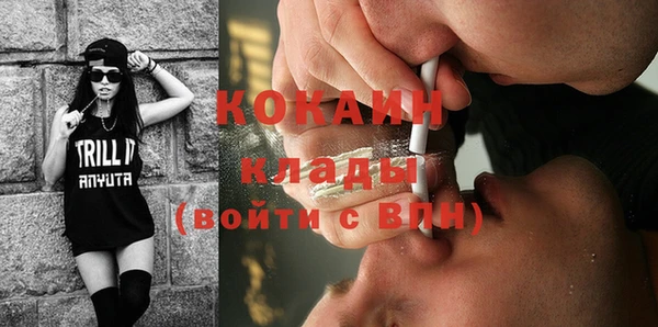 кокс Богородицк