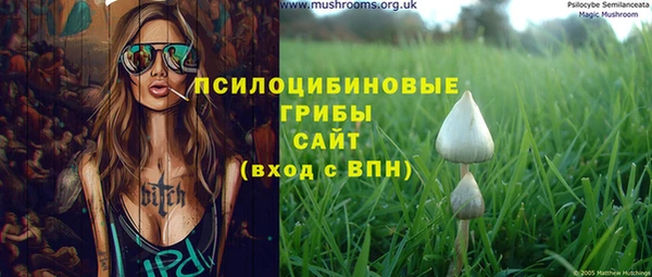 прущий лед Бородино