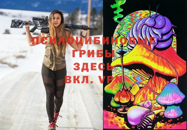 прущий лед Бородино