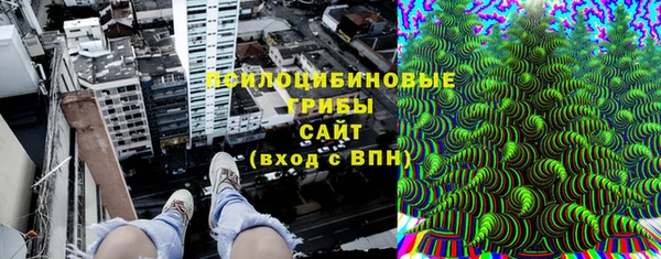 прущий лед Бородино
