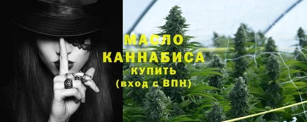 крисы Бронницы